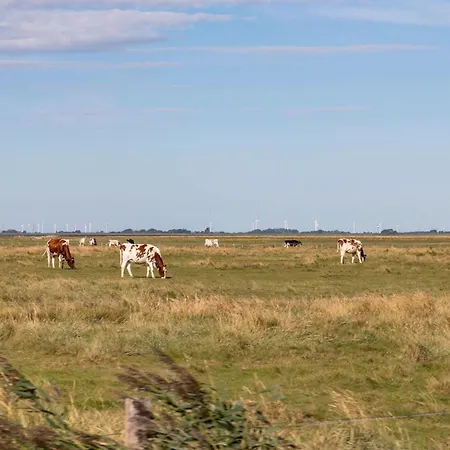 Haus Nommensen Oland