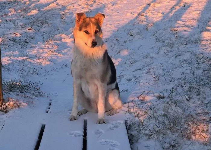 Haus Nommensen Oland