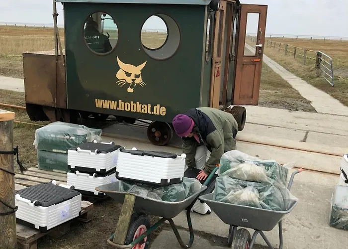 Casa vacanze Haus Nommensen