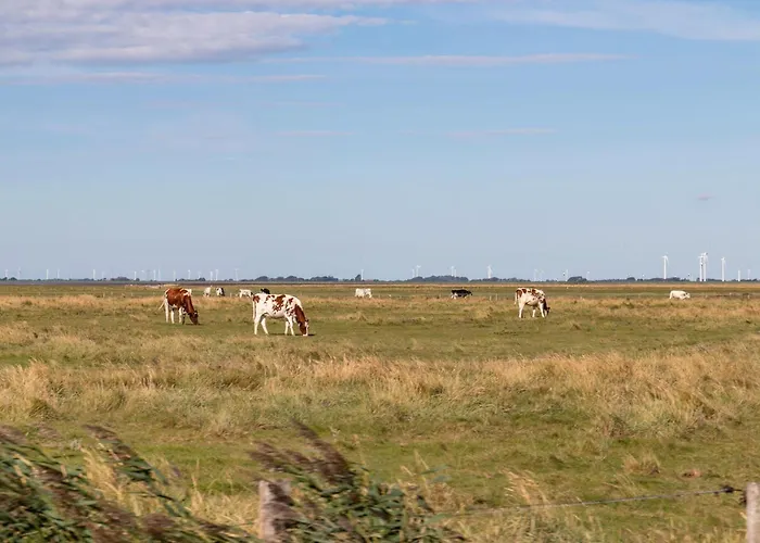 Haus Nommensen Oland